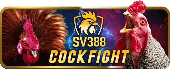 VBET Casino Trực Tuyến